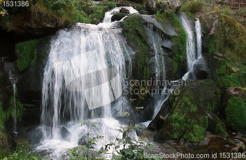 Image of idyllic Triberg Waterfalls