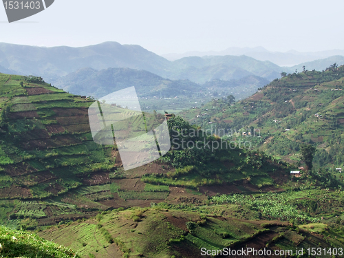 Image of Virunga Mountains aerial view