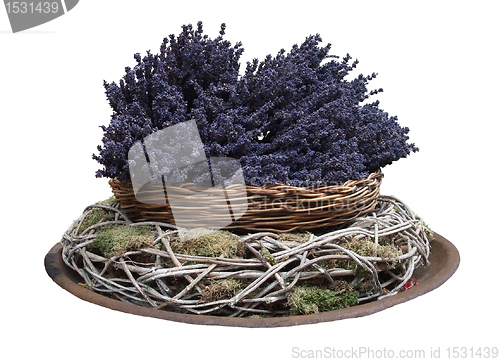 Image of lavender arrangement