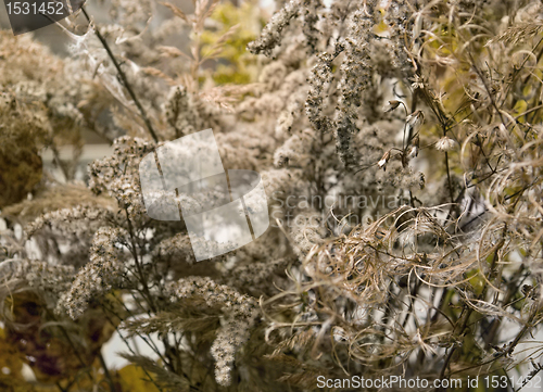 Image of autumn background