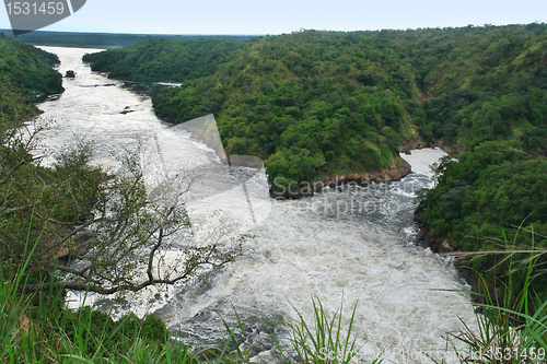 Image of River Nile around Murchison Falls