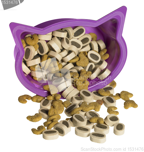 Image of cat food and violet box