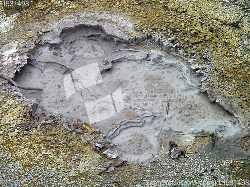 Image of muddy hot spring detail