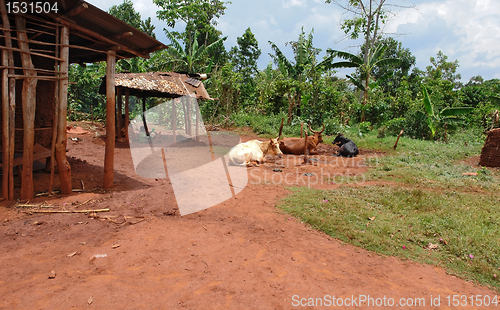 Image of village near Bujagali Waterfalls
