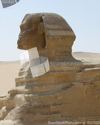 Image of Sphinx detail