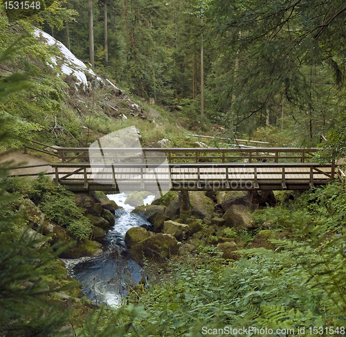 Image of wooden bridge around Triberg Waterfalls