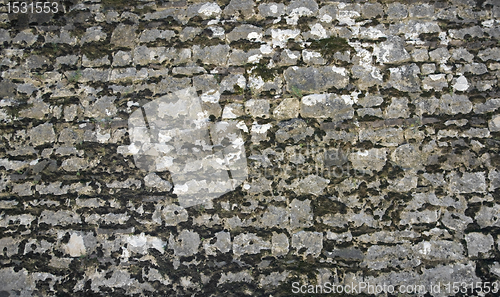 Image of old overgrown stone wall