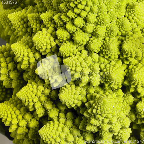 Image of abstract romanesco cauliflower