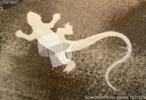 Image of lizard silhouette on brown sand surface