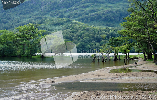 Image of shore of Loch Lomond