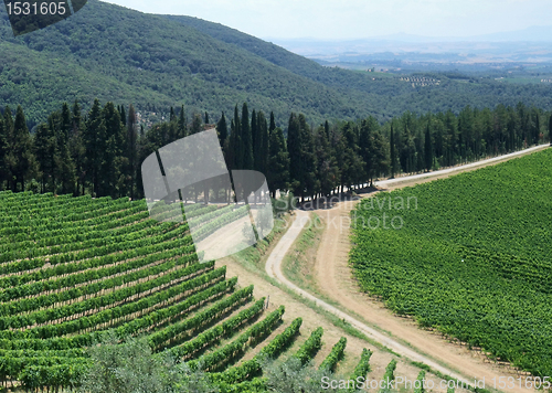 Image of Chianti in Tuscany