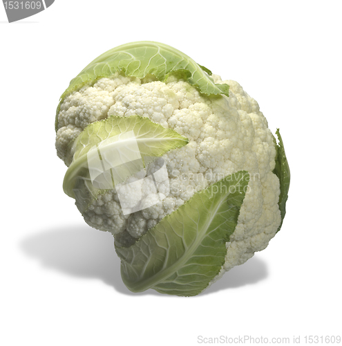 Image of fresh cauliflower