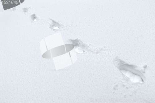 Image of footmarks in the snow