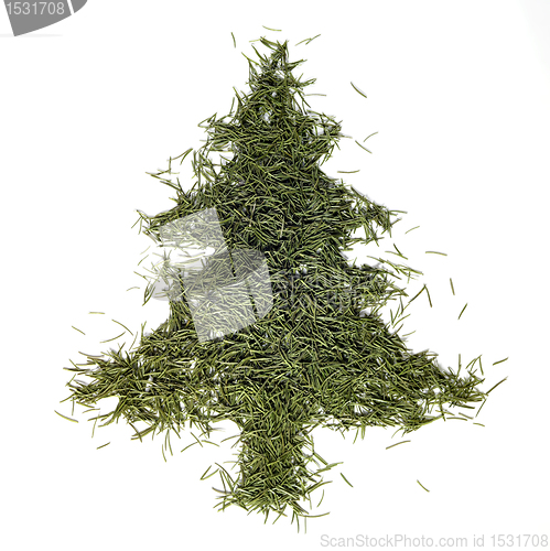 Image of fir needle christmas tree