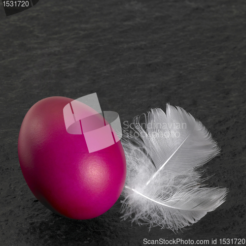Image of easter egg and down feathers