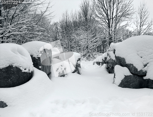 Image of snow covered landscape and stones