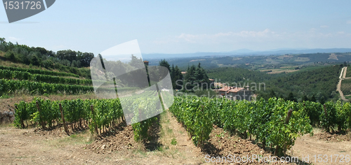 Image of Chianti in Tuscany