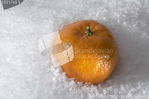 Image of mandarin orange in the snow