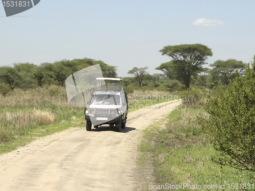 Image of safari in the Serengeti