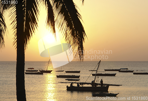 Image of idyllic sundown in Africa