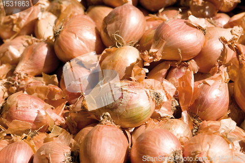 Image of sunny onions background