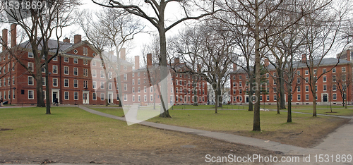 Image of Harvard Yard in Cambridge