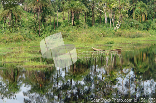 Image of waterside vegetation in the Kabwoya Wildlife Reserve