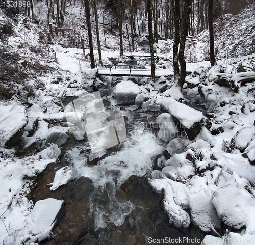 Image of Todtnau Waterfall detail