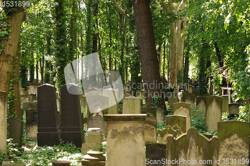 Image of detail of a old graveyard in Berlin