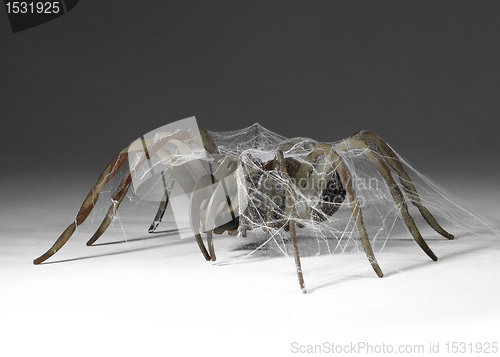 Image of metallic spider