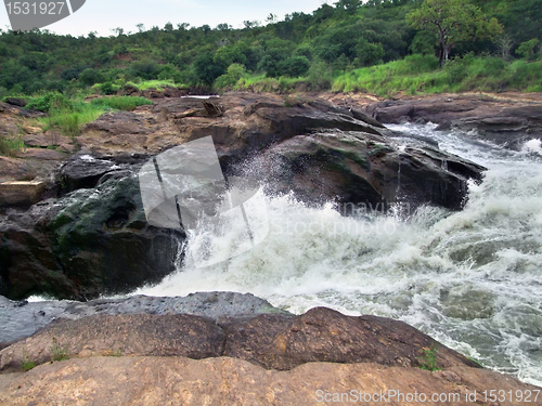 Image of detail of the Murchison Falls