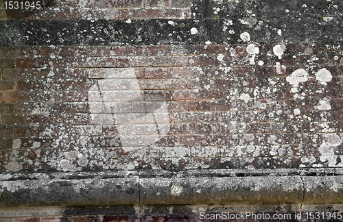 Image of old overgrown stone wall