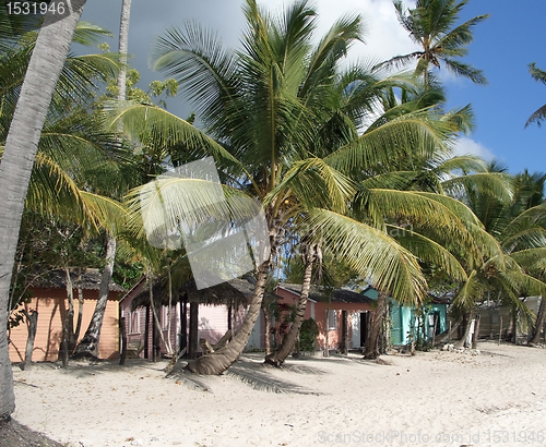 Image of Dominican Republic beach scenery