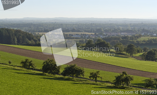 Image of agricultural view around Emmendingen