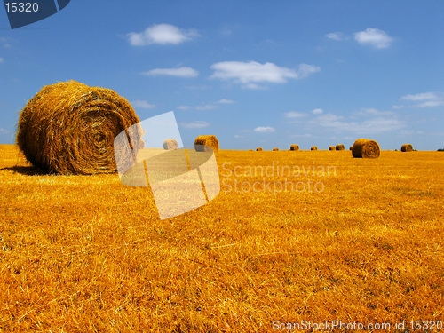 Image of france landscape