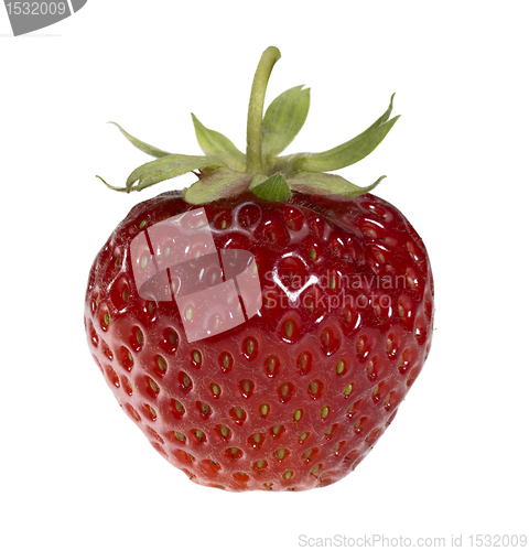 Image of perfect strawberry