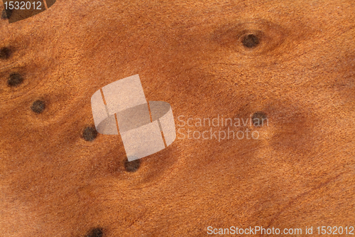 Image of brown burl wood detail