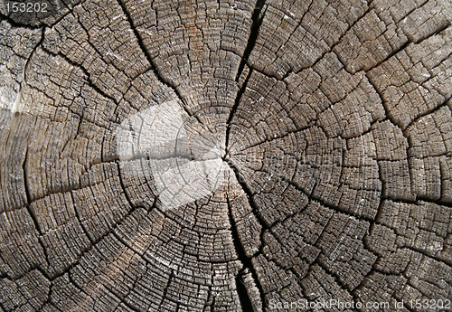 Image of Wood texture