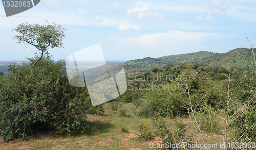 Image of Great Rift Valley
