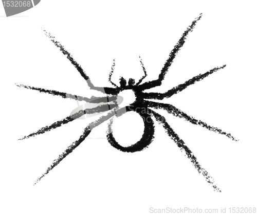 Image of sketched spider