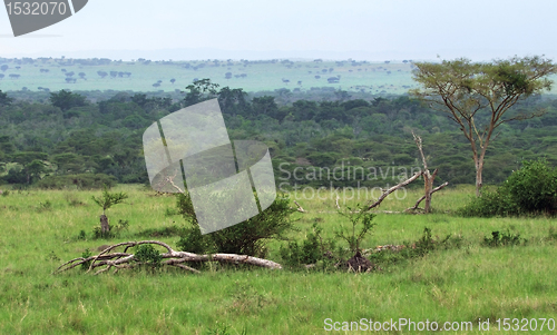 Image of Queen Elizabeth National Park in Uganda