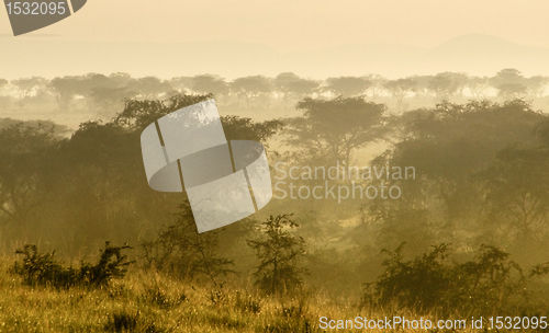 Image of Queen Elizabeth National Park at evening time