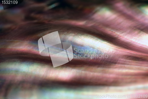 Image of colorful nacre closeup