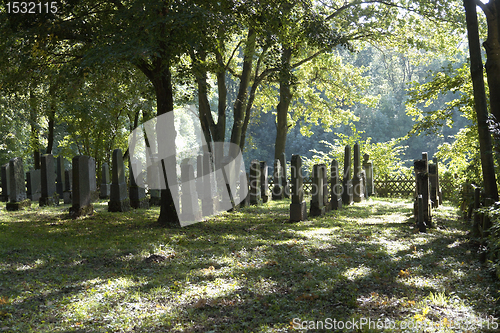 Image of rows with old gravestones