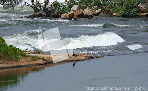 Image of River Nile closeup near Jinja