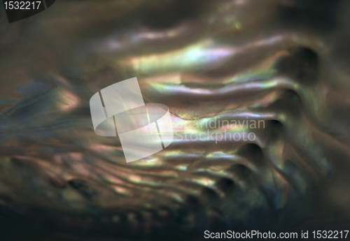 Image of colorful nacre closeup