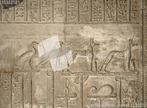 Image of relief at the Temple of Kom Ombo