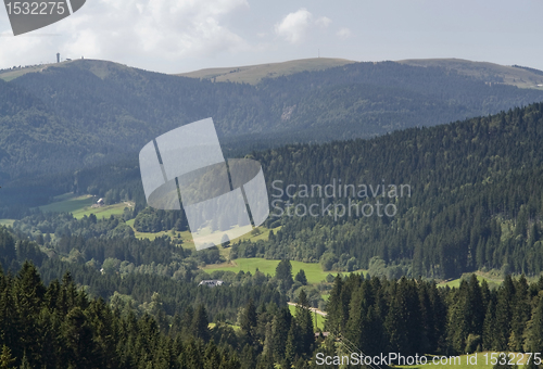 Image of aerial Black Forest scenery