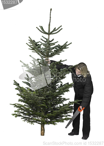 Image of woman and christmas tree