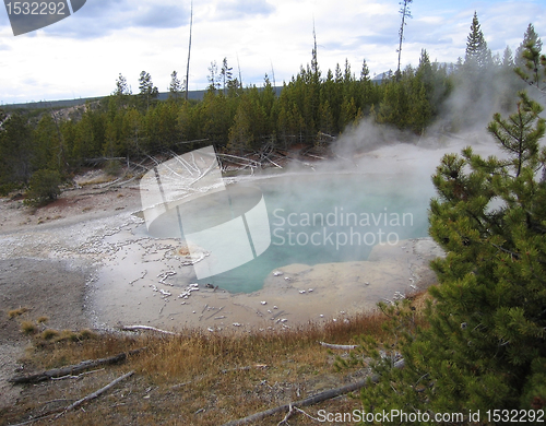 Image of hot spring in the Yellowstone National Park